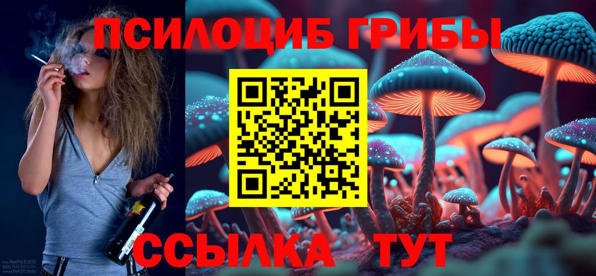Псилоцибиновые грибы прущие грибы  Вход с VPN  Каменск-Шахтинский 