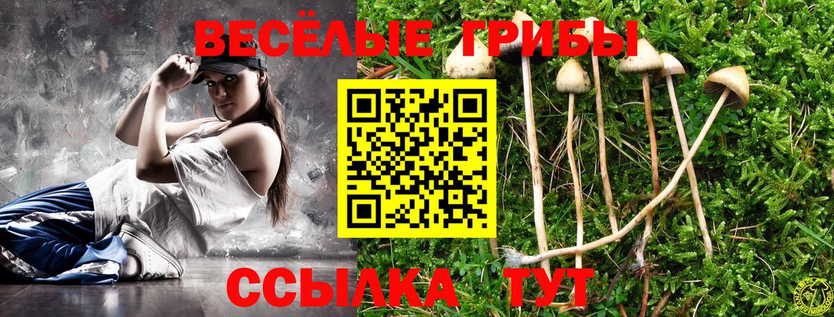 Галлюциногенные грибы Magic Shrooms Каменск-Шахтинский